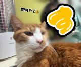 すず(30)ブログ12/17 00:00